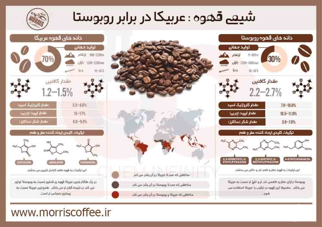 مقایسه دانه عربیکا و روبوستا