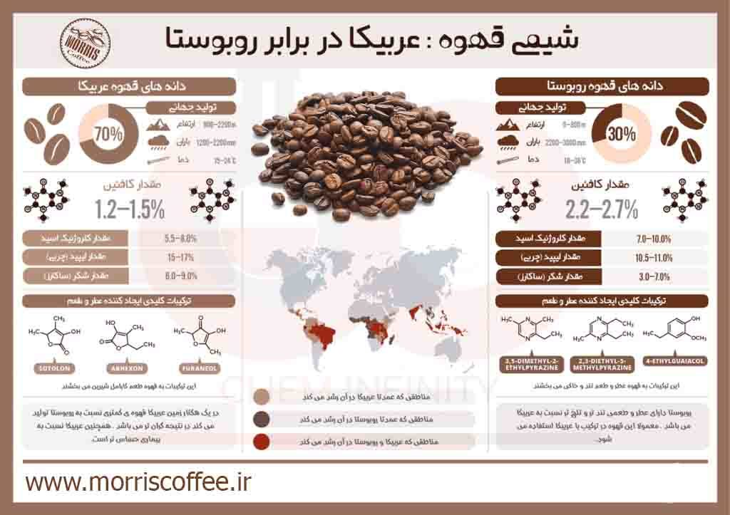 مقایسه دانه قهوه عربیکا و قهوه روبوستا