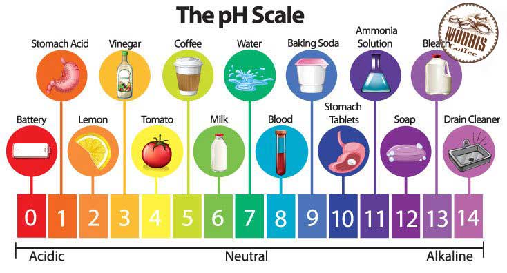 چیستی اسیدیته ی قهوه