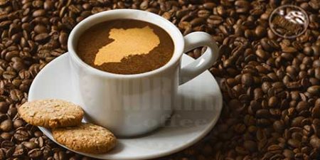 قهوه اوگاندا ؛ خاستگاه قهوه روبوستا