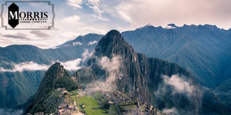 راهنمای پروفایل‌های منطقه‌ای قهوه‌ی پرو