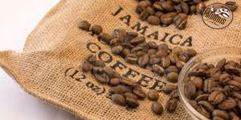 قهوه ی جامائیکا