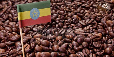 قهوه ی اتیوپی