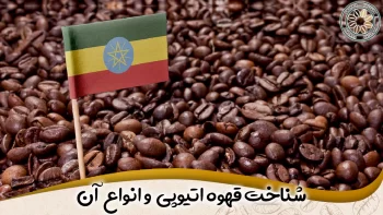 مشخصات و انواع قهوه اتیوپی