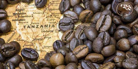 قهوه‌ تانزانیا