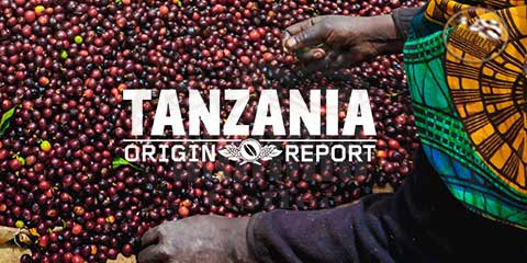 قهوه‌ی تانزانیا