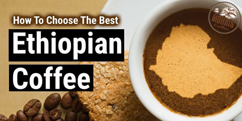 قهوه اتیوپی چیست
