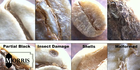 Defects