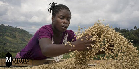 Congo