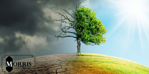 Climate change