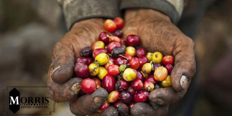 Fair trade