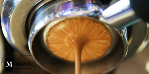 Extraction