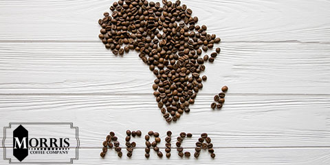 سازمان قهوه بین آفریقایی