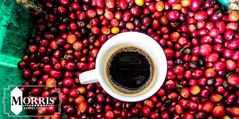 بخش قهوه کلمبیا