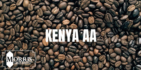 قهوه ی کنیا