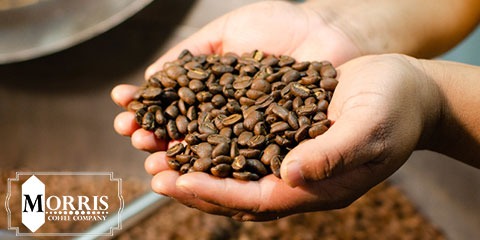 سرو قهوه بو داده در مبدأ