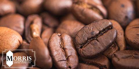 رابطه آسیاب و میزان سختی دانه قهوه - قهوه موریس