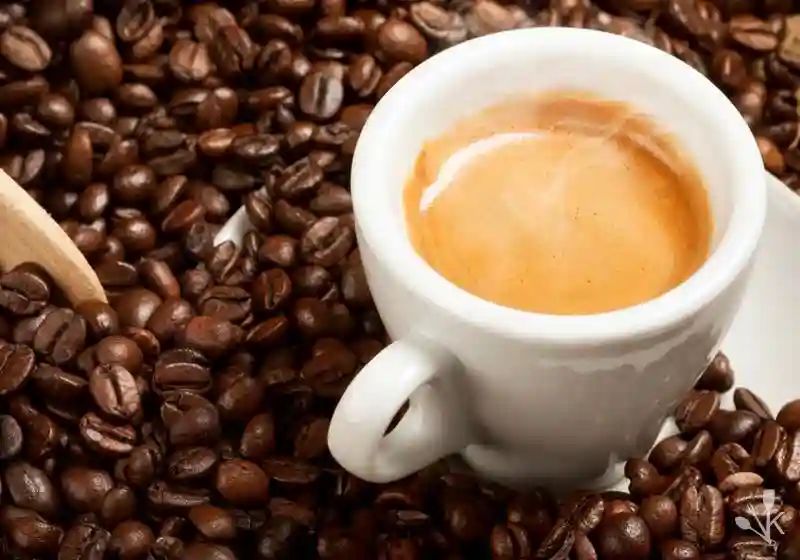 قیمت خرید قهوه اسپرسو